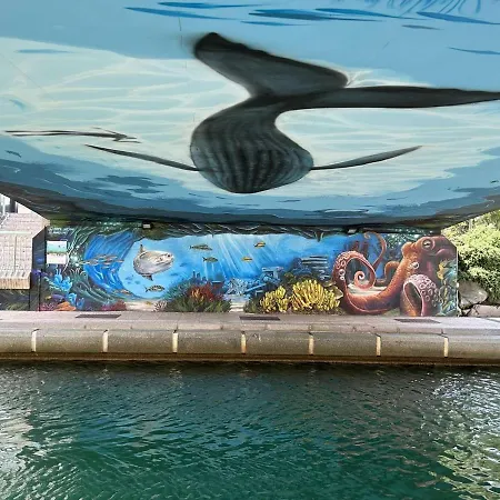 A Avec Terrasse Et Menage Inclus - Fr-1-226a-66 * Fréjus